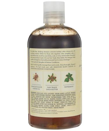 Shop S/M JBCO Shampoo 13oz - Nourishing Hair Care for All Hair Types - International Shipping Available - Buy Online on GoSupps.com