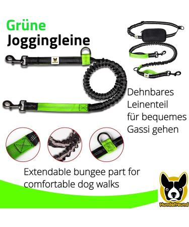 Elastic Reflective Jogging Leash - 120 cm with Adjustable Hip Strap & Bag for Hands-Free Walking Hiking & Running - Up to 200 cm Stretch - Buy Online on GoSupps.com