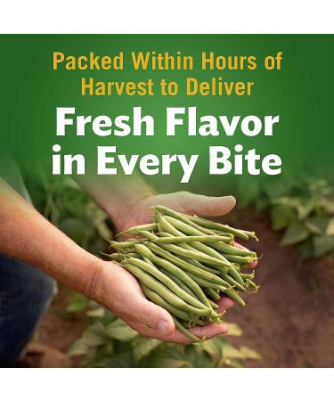 Del Monte Fresh Cut Blue Lake Green Beans 14.5oz Can - Pack of 1 | 2000487 - Buy Online on GoSupps.com