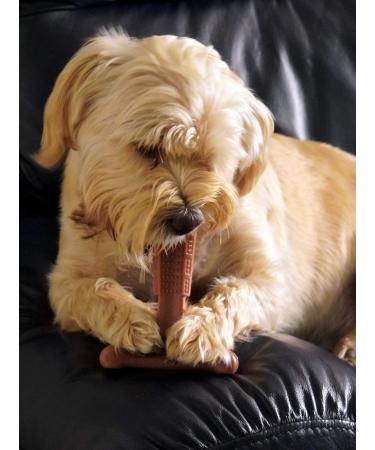 Bamboodles T-Bone Chew Toy for Dogs - Small 4" Peanut Butter Flavour for All Breed Sizes - Buy Online on GoSupps.com