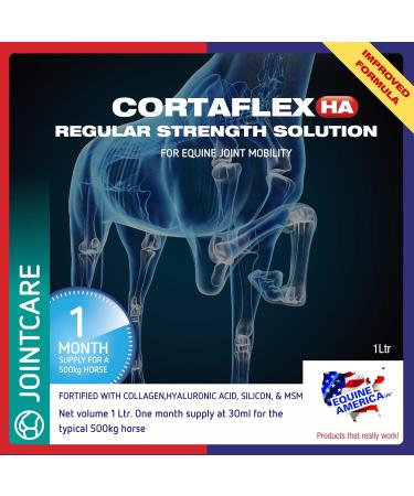 Cortaflex Equine America Regular Starch Solution | Premium Ready for Use of Horse & Pony Supplement | Complete Joint Support & Mobility | 1 Liter - Buy Online on GoSupps.com
