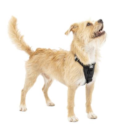 Kurgo Tru-Fit Dog Harness Crash Tested Car Seat Belt For Dogs 11 to 25 lbs Size S Black Black S