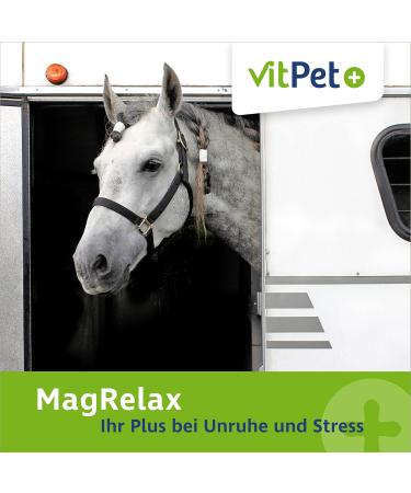 Vitpet+ Magrelax for Horses - Magnesium & Tryptophan Support for Muscles & Relaxation | 2kg with Dosing Spoon - Buy Online on GoSupps.com