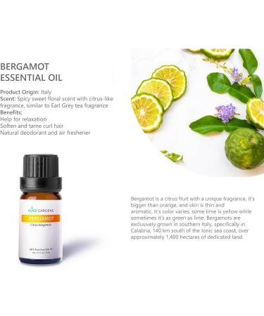 Citrus Essential Oil Set - Pack of 6 Pure Therapeutic Grade 10ml Oils | Lemon Grapefruit Sweet Orange Lime Bergamot & Petitgrain - Buy Online on GoSupps.com