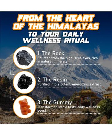 Himalayan Shilajit Gummies No Added Sugar Ashwagandha MACA Root Turmeric Extract with Vitamin C Non-GMO 100% Natural & Organic (60 Count Gold) Gold 60 Count (Pack of 1) - Buy Online on GoSupps.com