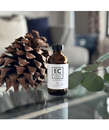 Eucalyptus Conifer Diffuser Oil - 120 mL Aroma Blend for Aromatherapy & Humidifiers | Air-Scent Fragrance Oil - Buy Online on GoSupps.com