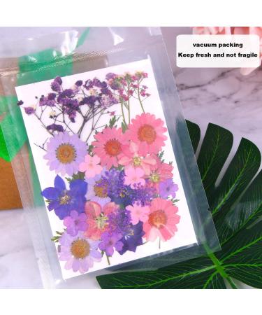 Dried Flowers for Resin Jewelry, Art Crafts, Scrapbooking - Natural Pressed Flowers for DIY Molds, Candles, Soaps, Nails Decor - Purple - Buy Online on GoSupps.com