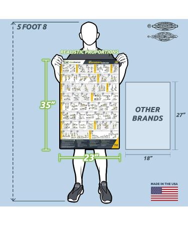 EverStretch Bodyweight Workout Poster - Large 23 x 35 | Video Instructions & Laminated Chart | Home Gym Exercise Poster - Buy Online on GoSupps.com
