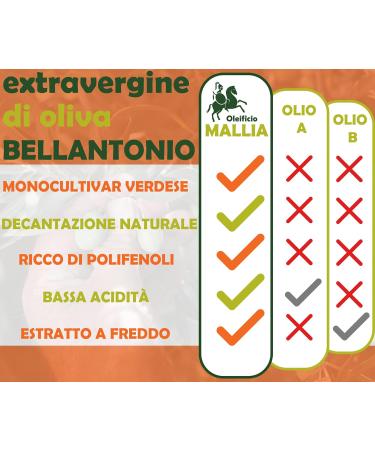 Oleificio Mallia - Extra Virgin Olive Oil 100% Italian - Can of 5 L - Fresh Harvest 2023/2024 Cold extracted - Buy Online on GoSupps.com
