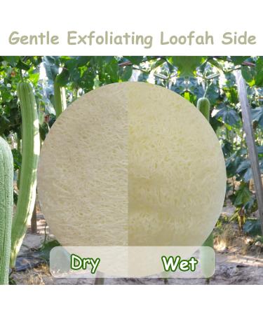 15 Pack Mini Exfoliating Loofah Face Pads - Eco-Friendly Shower Scrubber & Makeup Cleanser - Buy Online on GoSupps.com
