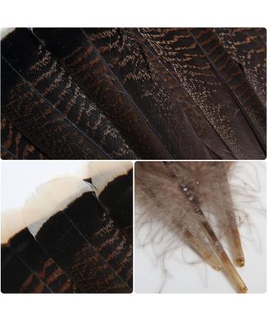 THARAHT 24pcs Natural Wild Turkey Tails Feathers Quill Bulk 6-8inch for DIY Crafts & Wedding Decor - Buy Online on GoSupps.com
