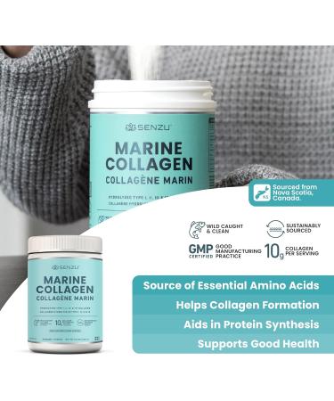 Premium Marine Collagen Powder | Wild-Caught from North Atlantic | Supports Hair Nail Skin Health Pure Hydrolyzed Form Tasteless - 250g - Made in Canada - Buy Online on GoSupps.com