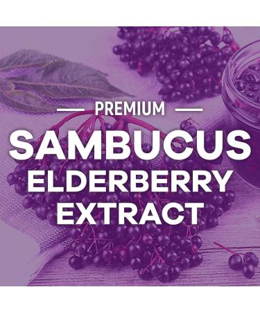 Elderberry Gummies - 3X Strength Black Elderberry Immune Support Gummy with Vitamin C D3 and Zinc for Kids & Adults Immune Health Support Supplement Gummy Black Elder Berry Vitamins - 120 Gummies 120 Count (Pack of 1) - Buy Online on GoSupps.com
