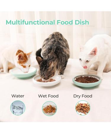ComSaf Ceramic Cat Feeding Bowl Wide Shallow Cat Food Water Dish Whisker Friendly Design Whisker Fatigue Free shallow cat bowl Non Spill Pet Bowl 300ML Pack of 2 Green Green*2 - Buy Online on GoSupps.com