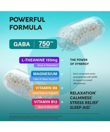 GABA L-Theanine 900 mg - Made in USA - Magnesium | Vitamin B6 - Calm, Sleep, Relaxation & Mood Support - 750 mg Gamma AminoButyric Acid, 150 mg L-Theanine - Non-Habit Forming, Vegan - 240 Capsules 240 Count (Pack of 1) - Buy Online on GoSupps.com