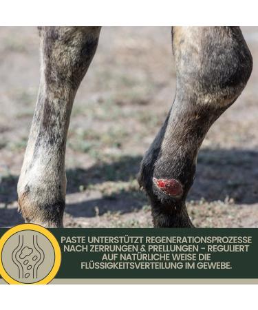 Emma Horse Clay + Cooling Gel Set I Horse Balm + Arnica I Normal Acetic Acid Clay + No Doping I Clay Paste I Healing Mud Cooling Paste Muscle Tendon 2 x 1.5 kg 500 ml - Buy Online on GoSupps.com