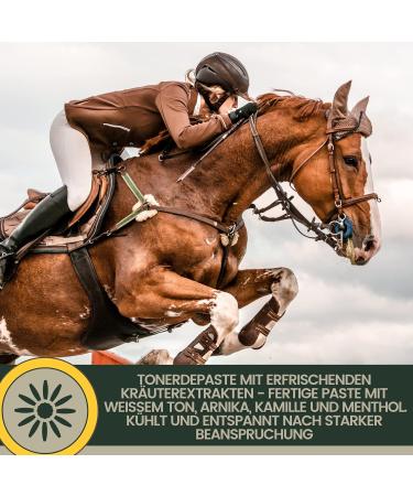 acetic clay horse clay + refreshing horse balm I gel arnica ointment mineral clay I clay cooling paste I gel + horse ointment I gel muscles tendons joints 1.5 kg 500 ml - Buy Online on GoSupps.com