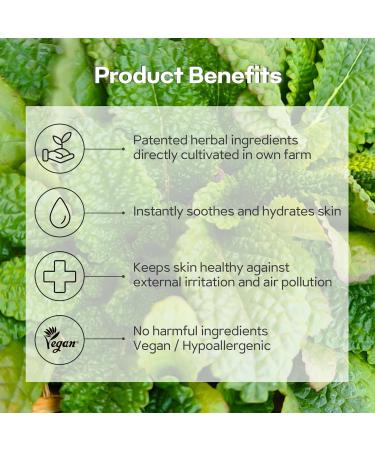 Green Salvia Calming Ampoule - Hydrating Vegan Serum for Oily Skin Soothes Redness & Irritation 50ml - Cruelty Free Korean Moisturizer - Buy Online on GoSupps.com