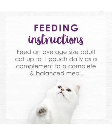 Fancy Feast Purina Grain-Free Senior Wet Cat Food Complement - Buy Online on GoSupps.com