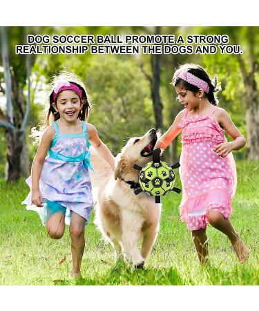 LOTUSWILD Durable Dog Toy Ball with Handle 15cm Ideal for Large Medium & Small Dogs Green | International Shipping Available - Buy Online on GoSupps.com