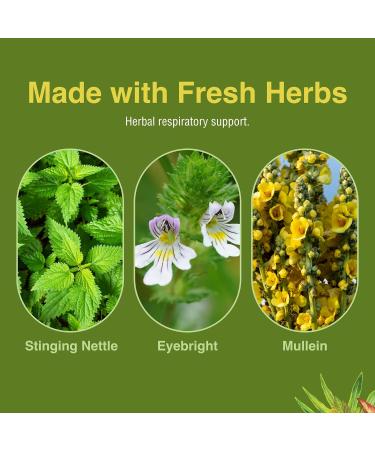 Herbs Etc. Allertonic - Healthy Breathing Support - Herbal Blend to Aid Against Seasonal Discomfort - Lung & Respiratory Health Support with Stinging Nettle - 120 Softgels (120 Servings) 120 Count (Pack of 1) - Buy Online on GoSupps.com
