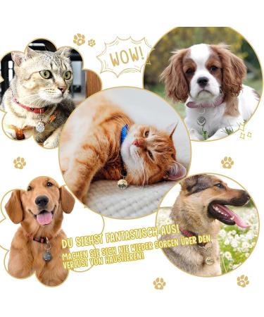 Personalized Kodinsiivous Dog Brand - Engraved Stainless Steel Dog Tag | Custom Name & Design - Round 30mm Collar Tag for Dogs & Cats (Gold) - Buy Online on GoSupps.com