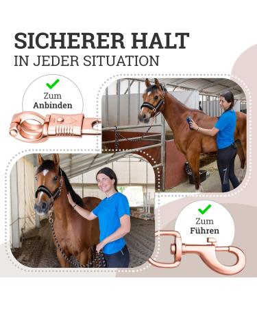 Esposita Leading Prickership Casting Solid Champion Edition - Panic Hooks & Carabin Hooks - Black/Rose Gold Snap Hook - Buy Online on GoSupps.com