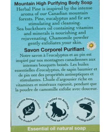 Buy Pine Scented Bar Soap - 135 GR | Natural & Eco-Friendly | International Shipping Available - Buy Online on GoSupps.com