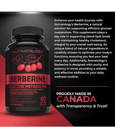 Berberine Supplement - Max Potency 500MG Per Capsule - Supports Glucose Metabolism - Healthy Blood Sugar Levels Through Efficient Metabolism Of Glucose (Sugar) And Lipids (Fats) - 60 Capsules 60 count (Pack of 1) - Buy Online on GoSupps.com