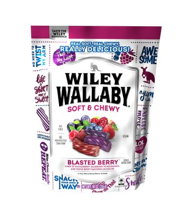 Wiley Wallaby 10 Ounce Blasted Berry Gourmet Australian Style Soft  Chewy Licorice Candy Twists Blasted Berry 10 Ounce (Pack of 1) - Buy Online on GoSupps.com