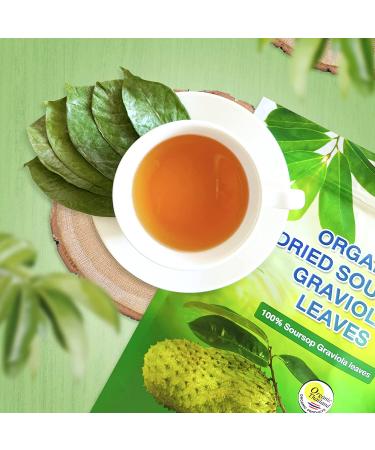 NalLife ORGANIC Soursop Graviola Tea Leaves - 200 Leaves - Pure and Natural - Buy Online on GoSupps.com