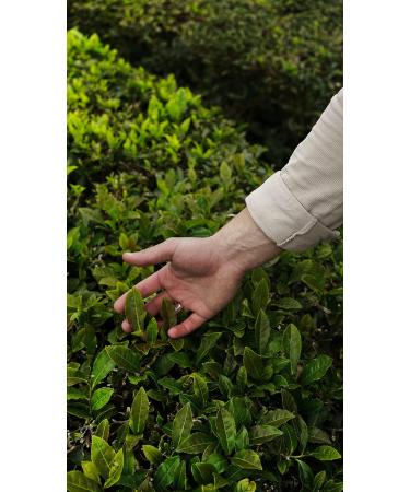 Dethlefsen Balk teemando herbal tea mix winter pastry almond pastry nut flavored 1kg - Buy Online on GoSupps.com