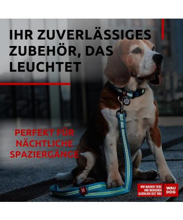 Reflective Nylon Dog Collar for Large Medium & Small Dogs | Adjustable Blue Puppy Collar | 24-40 cm Length & 20 mm Width - Buy Online on GoSupps.com