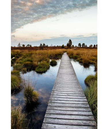 SCIO Bad Aiblinger Moorkissen - Premium Heat & Cold Therapy Cushion for Back Pain Relief - Brown - Buy Online on GoSupps.com