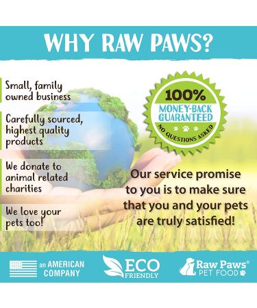 Raw Paws Pet Dematting Comb for Dogs | Long Blades with Safety Edges | Removes Mats, Tangles & Knots | De-matting Tool for Dogs - Buy Online on GoSupps.com