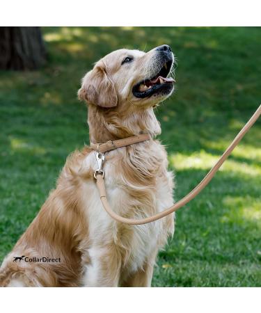 Collardirect Handmade Round Leather Dog Collar Softly Padded Real Leather for Small to Big Pets Available in Black Pink Red Purple Blue Beige (35-40 cm) - Buy Online on GoSupps.com