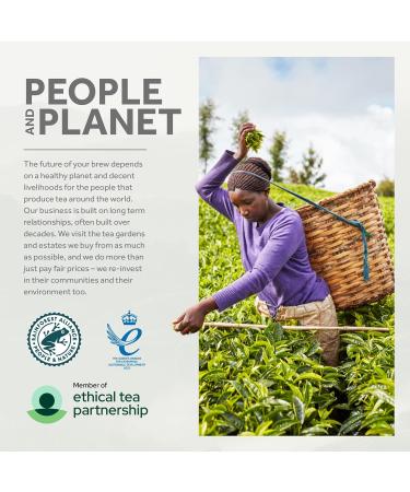  Yorkshire Tea Yorkshire Tea Decaffeinated Tea Bags 80 (Pack of 5 | Total of 400 Bags) - Buy Online on GoSupps.com