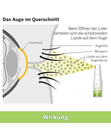 Ocuvers Lipostamin Eye Spray 15ml - Unconserved Eye Relief for Red Eyes & Allergies - Alternative to Eye Drops - Buy Online on GoSupps.com
