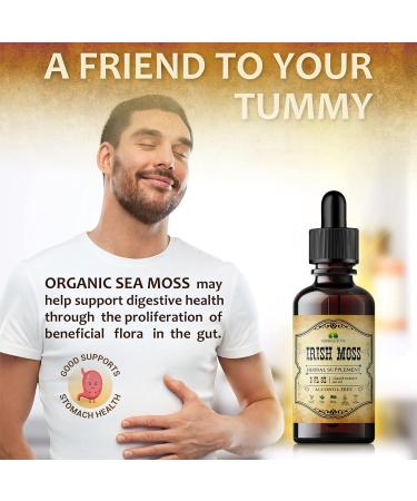Irish Sea Moss Raw Organic Drops Natural Irish Sea Moss Extract for Thyroid Support, Digestion & Energy Liquid Dietary Supplement Vegan, Non-GMO 2oz Bottle 2 Fl Oz (Pack of 1) - Buy Online on GoSupps.com