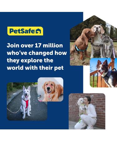 PetSafe Gentle Guide Collar for Small Dogs up to 25 lbs | Deep Purple with Training DVD - International Shipping Available - Buy Online on GoSupps.com