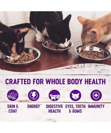 Wellness Healthy Indulgence Natural Grain Free Wet Cat Food - Chicken & Turkey Morsels 3oz Pouch (Pack of 24) - Buy Online on GoSupps.com