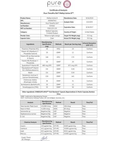 Pure Therapro Rx Methylated B Vitamins for Men and Women Made in USA 2 Month Supply | Active Methyl B Complex Vitamins Including Methyl B12 Methylfolate Benfotiamine Choline Niacin TMG & More - Buy Online on GoSupps.com