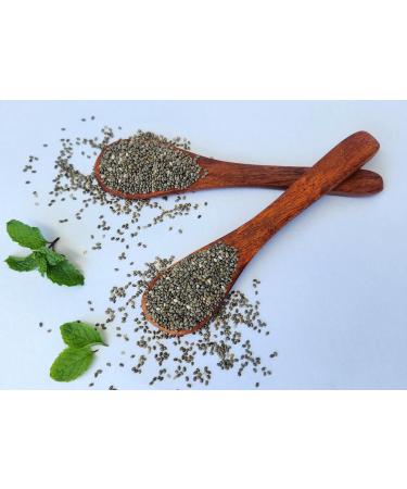 NATURE's TRAY Chia Seeds | 100% Veg | Nutrient - Rich For Healthy Life Style | Chia Seeds For Eating | Chia Seeds For Weight Loss | Raw Seeds | 415 Gm - 1 Qty 415 G (Pack Of 1) - Buy Online on GoSupps.com