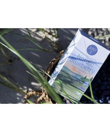 JUST T Nordic Blueberry Premium Organic Fruit Tea Bags - 20 Count | Biodegradable Double Chamber Tea Bag Infused with Forest Berries | High-Grown Leaf Tea for Tea Lovers - Buy Online on GoSupps.com