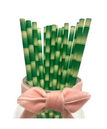 Bamboo Cocktail Paper Straws - Green Bamboo Print - Disposable Biodegradable Non Plastic - 100 Pack 6*197mm