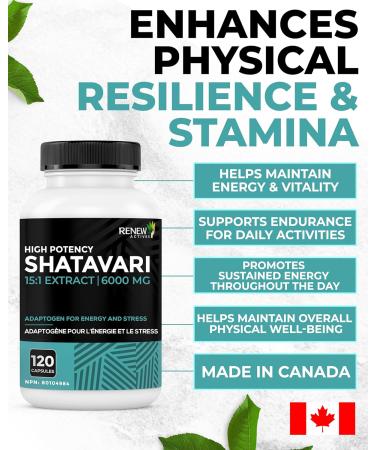 Renew Actives Shatavari Capsules Natural Adaptogen for Energy Vitality & Endurance Promotes Wellness & Resilience with Ayurvedic Herbs Organic Vegan Made in Canada 120 Capsules - Buy Online on GoSupps.com