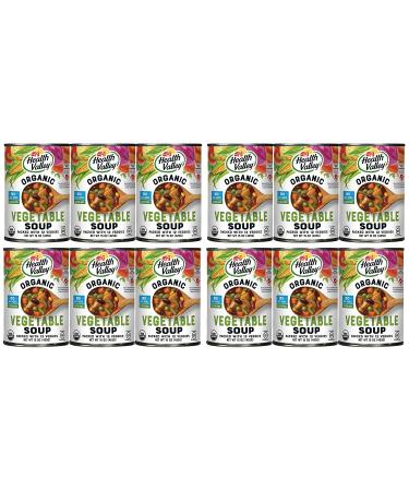 Health Valley Organic No Salt Added Vegetable Soup, 15 oz - Pack of 12 | Healthy eCommerce - Buy Online on GoSupps.com