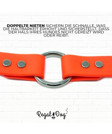 Regal Dog Products Waterproof Dog Halfband Collar for Small Medium & Large Dogs - Orange | Durable & Stylish Dog Collars for Puppies to Large Breeds - Buy Online on GoSupps.com