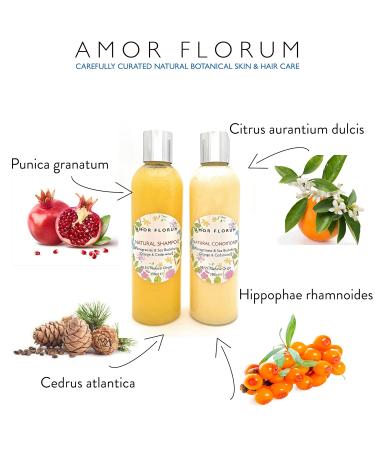 Amor Florum 250ml Natural Rinsing: Coconut Pomegranate Sea Buckthorn & Sweet Orange - Sulfate & Paraben Free pH 5.5 Balanced - Buy Online on GoSupps.com