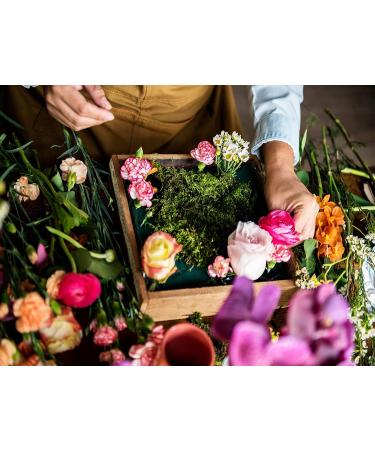 12 Pcs 3 Inch Flower Foam Blocks for DIY Flower Arrangements - Ideal for Weddings, Parties & Events - Buy Online on GoSupps.com